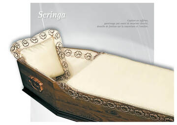 1 - Seringa Champagne