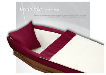 5 - Centauréa Rouge